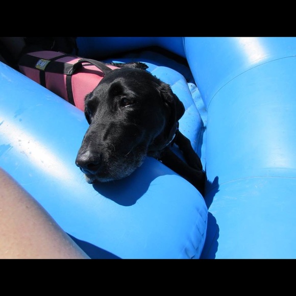 Meet your Posher, KP.  Posh Ambassador - Picture 7 of 9